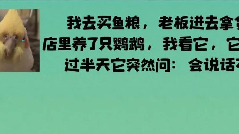 夏威夷果保质期揭秘：影响因素与延长方法