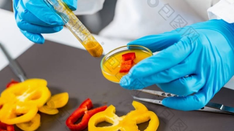 预制菜家庭装：分类与选购要点揭秘